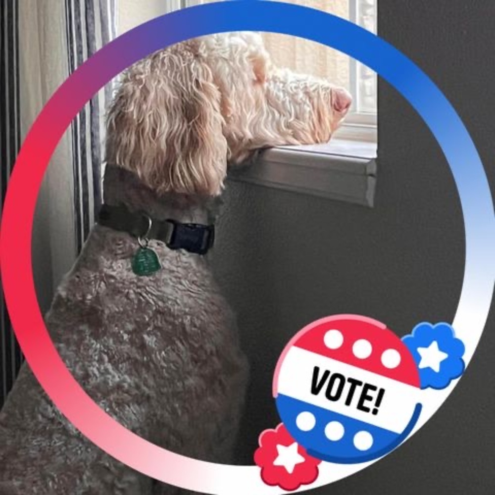 Meet your Posher, Barbara